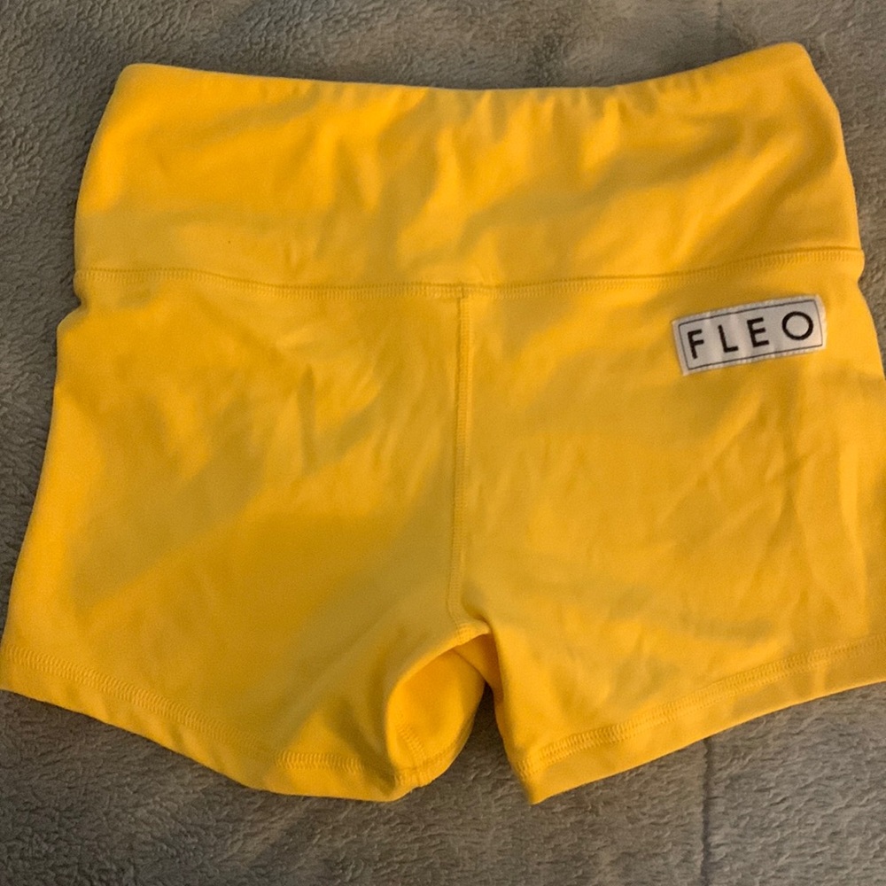 FLEO 3.25